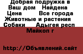 Добрая подружка,в Ваш дом!!!Найдена › Цена ­ 10 - Все города Животные и растения » Собаки   . Адыгея респ.,Майкоп г.